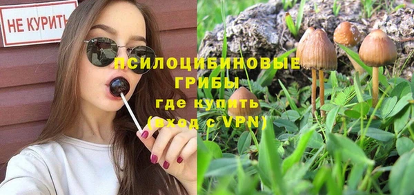 спайс Вязьма