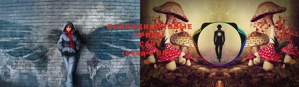 прущая мука Саяногорск